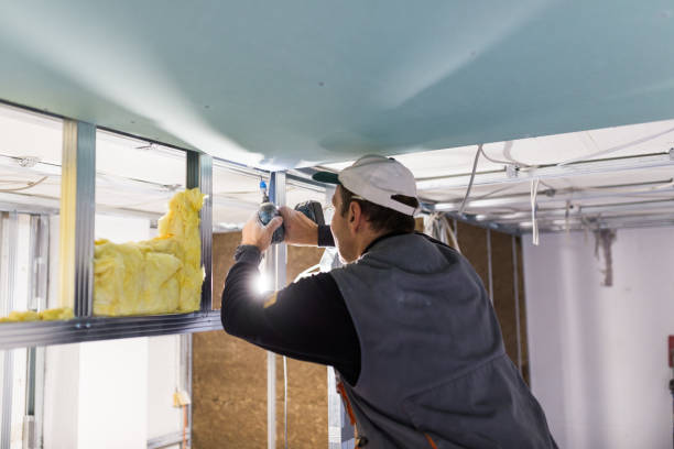 Best Affordable Insulation Services  in Rock Creek, MN
