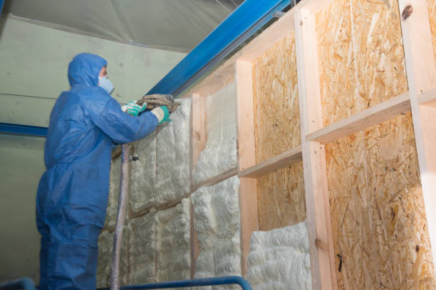 Best Home Insulation Services  in Rock Creek, MN